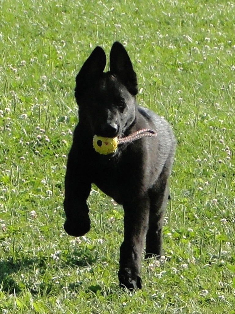 DSC06301